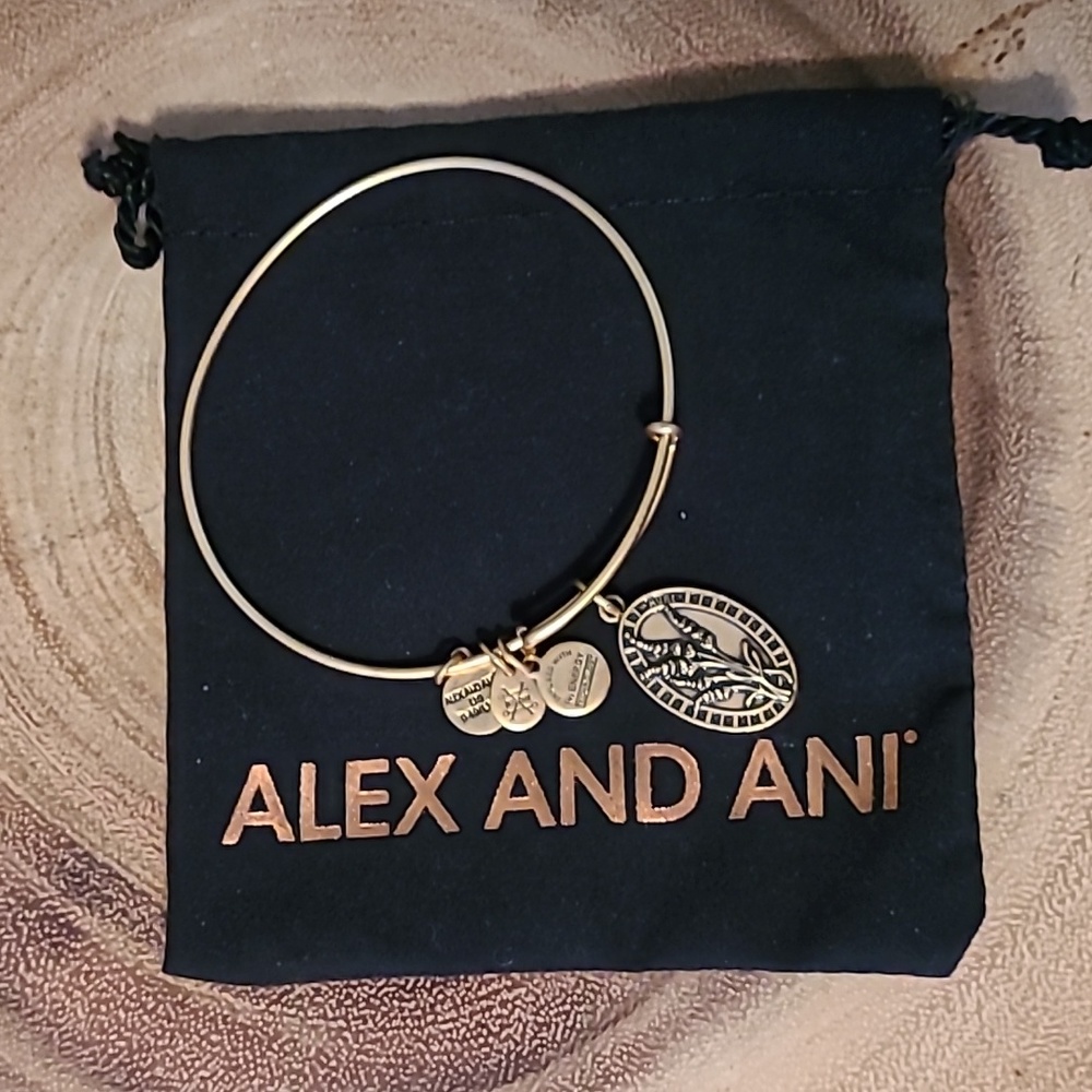 *2/$20 closet clearout* EUC Alex & Ani Aunt bracelet